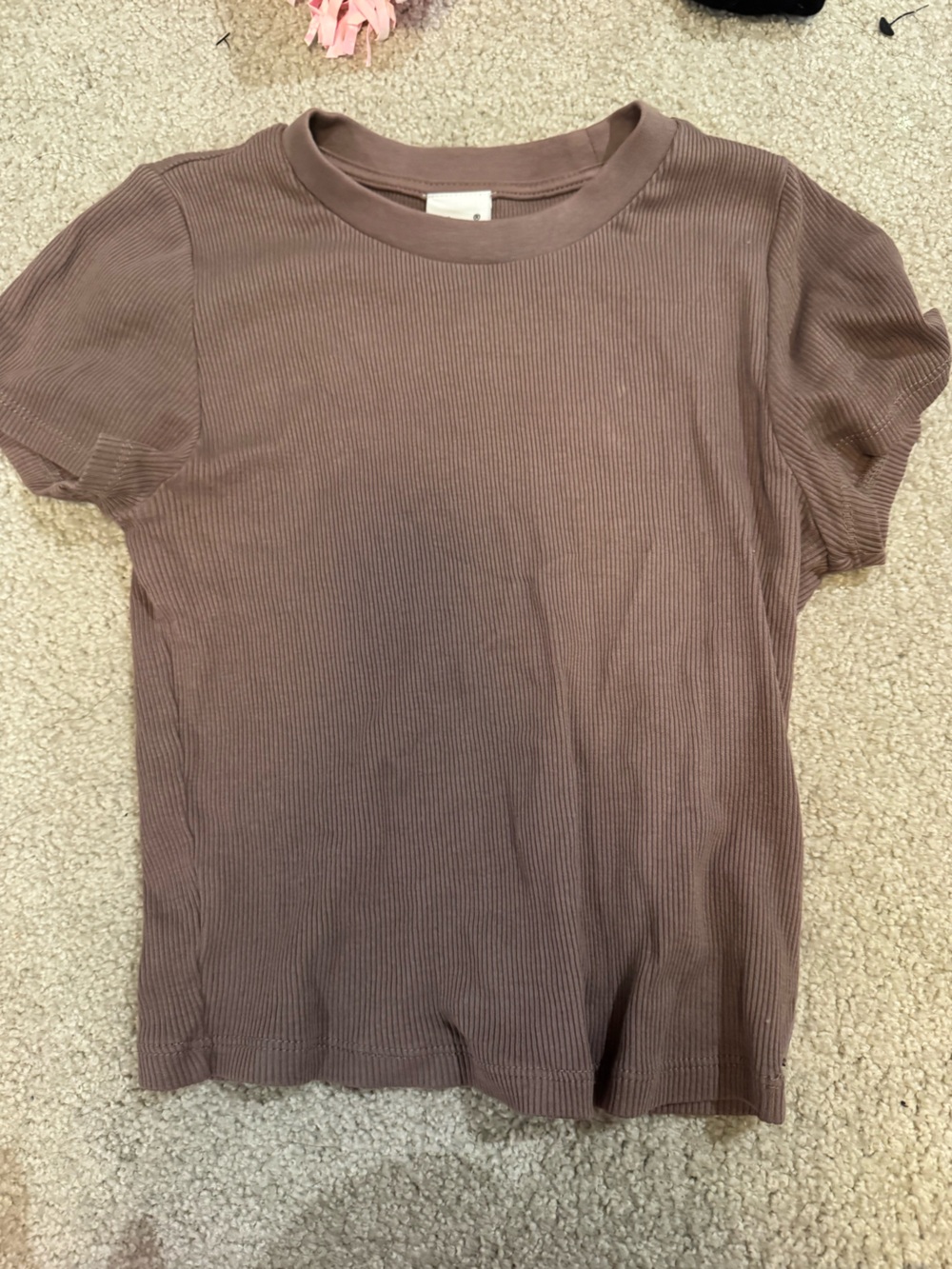 TNA Ribbed Crewneck Short Sleeve Top in Mauve
